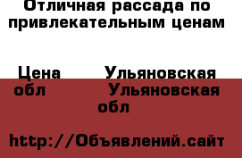 Отличная рассада по привлекательным ценам › Цена ­ 4 - Ульяновская обл.  »    . Ульяновская обл.